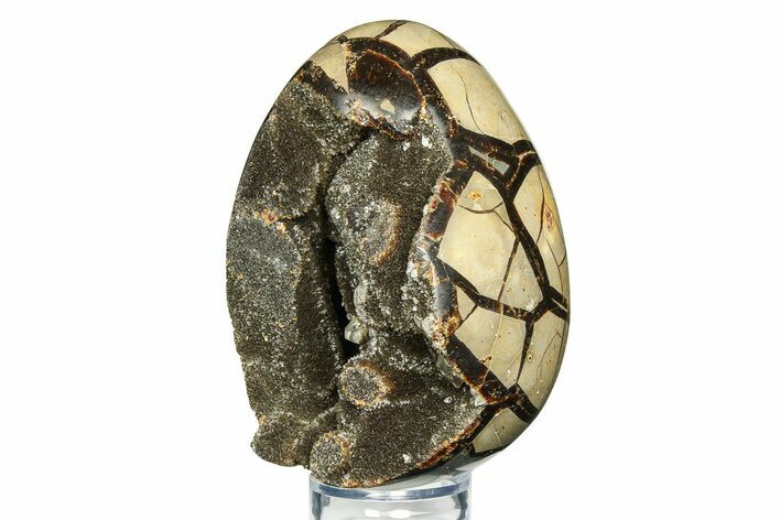 Septarian Dragon Egg Geode - Sparkly Black Crystals #308839